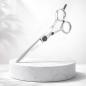 Preview: Pinin Q6 Tiera